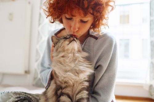 Junge Frau mit Katze 