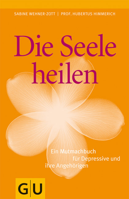 Die Seele heilen- Ein Mutmachbuch für Depressive und ihre Angehörigen