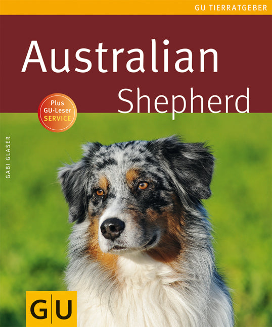 Australian Shepherd