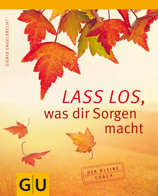 Lass' los, was dir Sorgen macht!