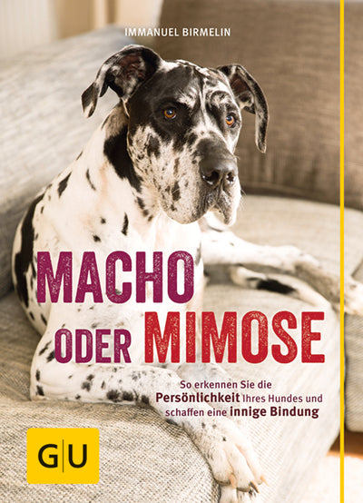 Cover Macho oder Mimose